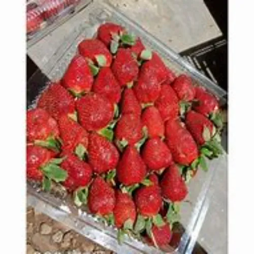 STRAWBERRY (1 KG)